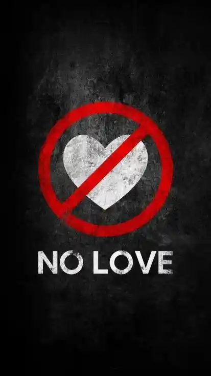 no-love-dp no-love-dp
