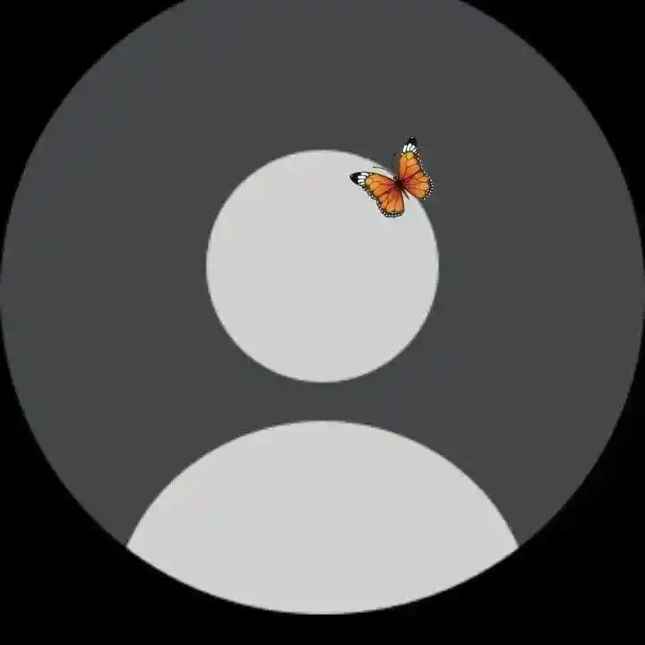 no-love-dp no-love-dp